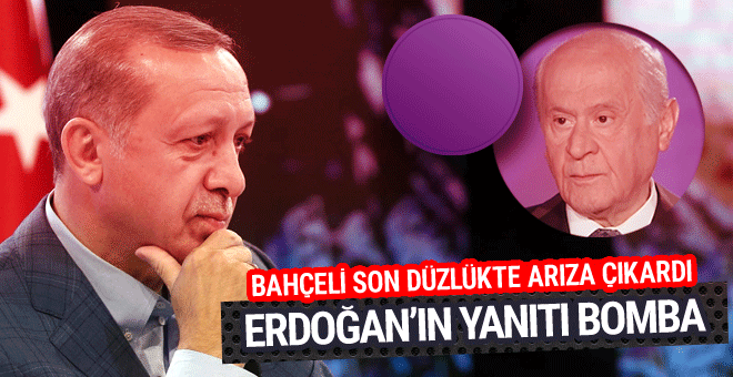 Erdoğan'dan flaş eyalet federasyon açıklaması - Resim: 0